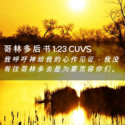 Picture 02 - 哥 林 多 后 书 1:23 CUVS - 我 呼 吁 神 给 我 的 心 作 见 证 ， - Bible Verse Picture