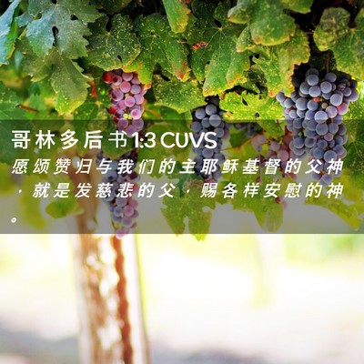 Picture 02 - 哥 林 多 后 书 1:3 CUVS - 愿 颂 赞 归 与 我 们 的 主 耶 稣 基 - Bible Verse Picture