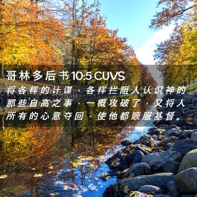 Picture 02 - 哥 林 多 后 书 10:5 CUVS - 将 各 样 的 计 谋 ， 各 样 拦 阻 人 - Bible Verse Picture