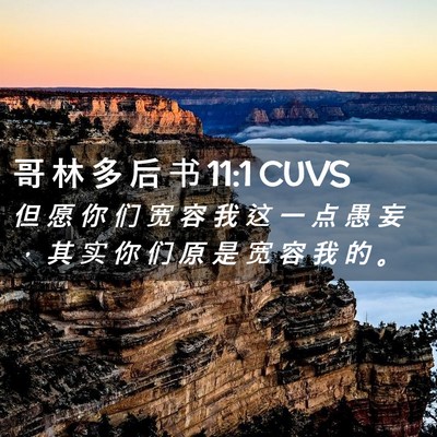 Picture 02 - 哥 林 多 后 书 11:1 CUVS - 但 愿 你 们 宽 容 我 这 一 点 愚 妄 - Bible Verse Picture