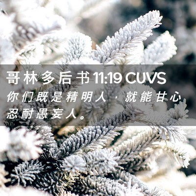 Picture 02 - 哥 林 多 后 书 11:19 CUVS - 你 们 既 是 精 明 人 ， 就 能 甘 心 - Bible Verse Picture