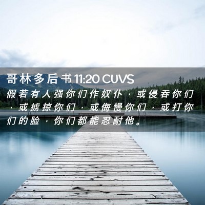 Picture 02 - 哥 林 多 后 书 11:20 CUVS - 假 若 有 人 强 你 们 作 奴 仆 ， 或 - Bible Verse Picture