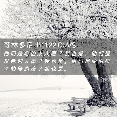 Picture 02 - 哥 林 多 后 书 11:22 CUVS - 他 们 是 希 伯 来 人 麽 ？ 我 也 是 - Bible Verse Picture