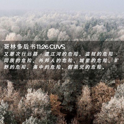 Picture 02 - 哥 林 多 后 书 11:26 CUVS - 又 屡 次 行 远 路 ， 遭 江 河 的 危 - Bible Verse Picture