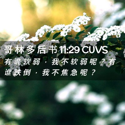Picture 02 - 哥 林 多 后 书 11:29 CUVS - 有 谁 软 弱 ， 我 不 软 弱 呢 ？ 有 - Bible Verse Picture