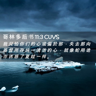 Picture 02 - 哥 林 多 后 书 11:3 CUVS - 我 只 怕 你 们 的 心 或 偏 於 邪 ， - Bible Verse Picture