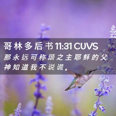 Picture 02 - 哥 林 多 后 书 11:31 CUVS - 那 永 远 可 称 颂 之 主 耶 稣 的 父 - Bible Verse Picture