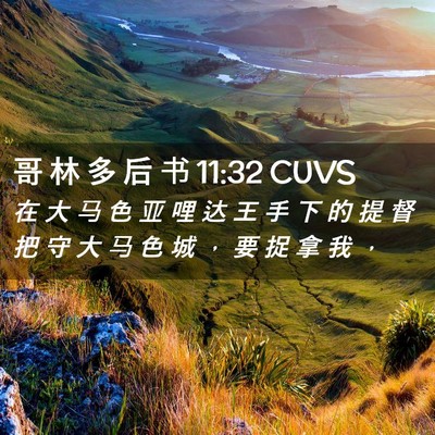 Picture 02 - 哥 林 多 后 书 11:32 CUVS - 在 大 马 色 亚 哩 达 王 手 下 的 提 - Bible Verse Picture