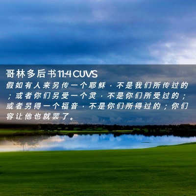 Picture 02 - 哥 林 多 后 书 11:4 CUVS - 假 如 有 人 来 另 传 一 个 耶 稣 ， - Bible Verse Picture