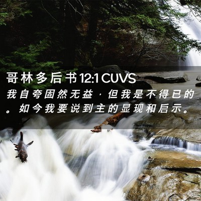 Picture 02 - 哥 林 多 后 书 12:1 CUVS - 我 自 夸 固 然 无 益 ， 但 我 是 不 - Bible Verse Picture