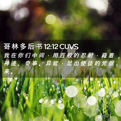 Picture 02 - 哥 林 多 后 书 12:12 CUVS - 我 在 你 们 中 间 ， 用 百 般 的 忍 - Bible Verse Picture