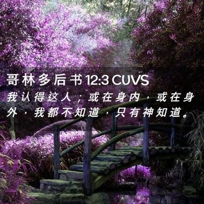 Picture 02 - 哥 林 多 后 书 12:3 CUVS - 我 认 得 这 人 ； 或 在 身 内 ， 或 - Bible Verse Picture