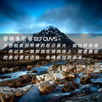 Picture 02 - 哥 林 多 后 书 12:7 CUVS - 又 恐 怕 我 因 所 得 的 启 示 甚 大 - Bible Verse Picture