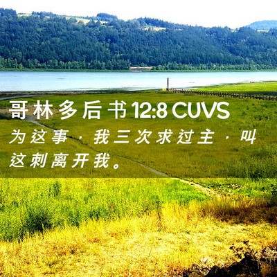 Picture 02 - 哥 林 多 后 书 12:8 CUVS - 为 这 事 ， 我 三 次 求 过 主 ， 叫 - Bible Verse Picture