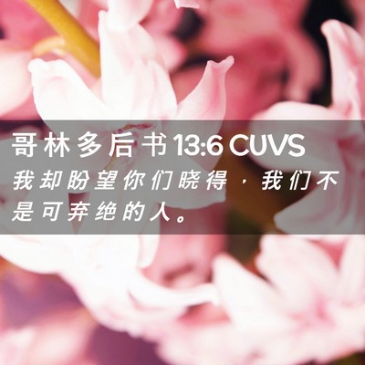 Picture 02 - 哥 林 多 后 书 13:6 CUVS - 我 却 盼 望 你 们 晓 得 ， 我 们 不 - Bible Verse Picture