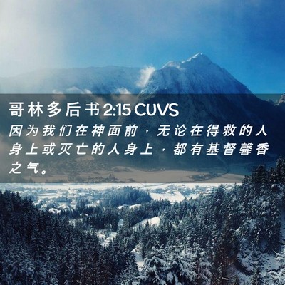 Picture 02 - 哥 林 多 后 书 2:15 CUVS - 因 为 我 们 在 神 面 前 ， 无 论 在 - Bible Verse Picture