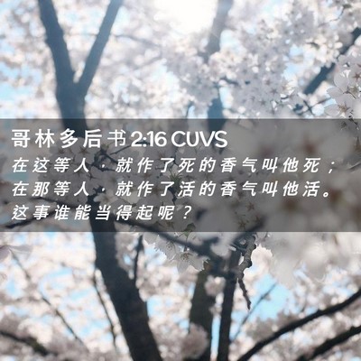 Picture 02 - 哥 林 多 后 书 2:16 CUVS - 在 这 等 人 ， 就 作 了 死 的 香 气 - Bible Verse Picture