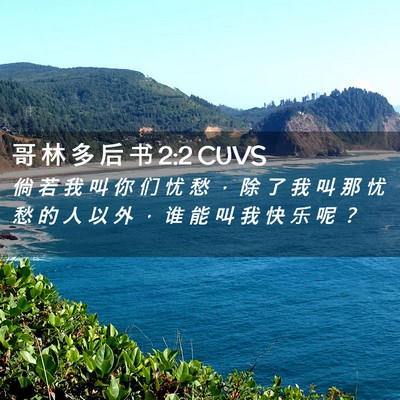 Picture 02 - 哥 林 多 后 书 2:2 CUVS - 倘 若 我 叫 你 们 忧 愁 ， 除 了 我 - Bible Verse Picture