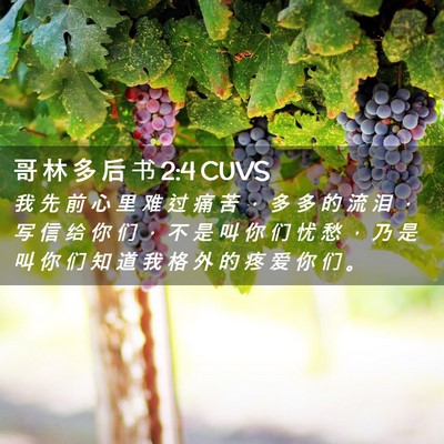 Picture 02 - 哥 林 多 后 书 2:4 CUVS - 我 先 前 心 里 难 过 痛 苦 ， 多 多 - Bible Verse Picture