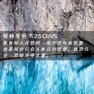 Picture 02 - 哥 林 多 后 书 2:5 CUVS - 若 有 叫 人 忧 愁 的 ， 他 不 但 叫 - Bible Verse Picture