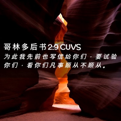 Picture 02 - 哥 林 多 后 书 2:9 CUVS - 为 此 我 先 前 也 写 信 给 你 们 ， - Bible Verse Picture