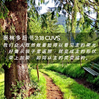 Picture 02 - 哥 林 多 后 书 3:18 CUVS - 我 们 众 人 既 然 敞 着 脸 得 以 看 - Bible Verse Picture
