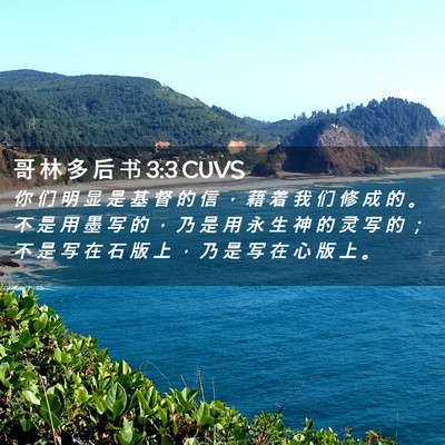 Picture 02 - 哥 林 多 后 书 3:3 CUVS - 你 们 明 显 是 基 督 的 信 ， 藉 着 - Bible Verse Picture
