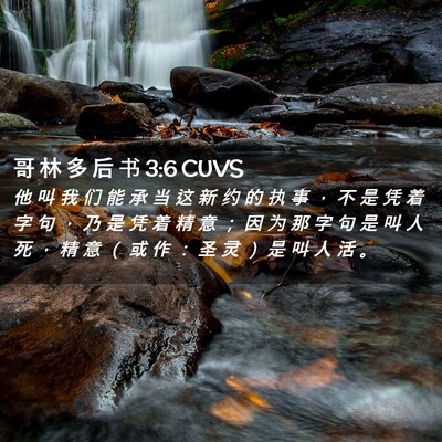Picture 02 - 哥 林 多 后 书 3:6 CUVS - 他 叫 我 们 能 承 当 这 新 约 的 执 - Bible Verse Picture