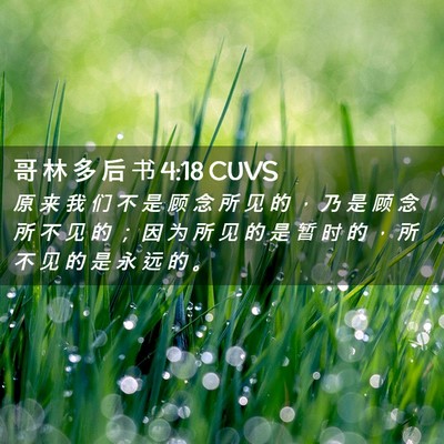 Picture 02 - 哥 林 多 后 书 4:18 CUVS - 原 来 我 们 不 是 顾 念 所 见 的 ， - Bible Verse Picture