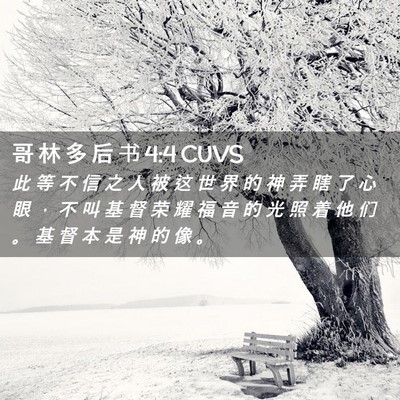 Picture 02 - 哥 林 多 后 书 4:4 CUVS - 此 等 不 信 之 人 被 这 世 界 的 神 - Bible Verse Picture