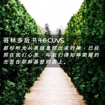 Picture 02 - 哥 林 多 后 书 4:6 CUVS - 那 吩 咐 光 从 黑 暗 里 照 出 来 的 - Bible Verse Picture