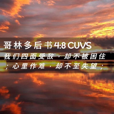 Picture 02 - 哥 林 多 后 书 4:8 CUVS - 我 们 四 面 受 敌 ， 却 不 被 困 住 - Bible Verse Picture