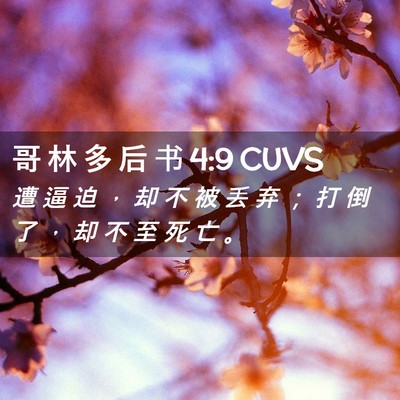 Picture 02 - 哥 林 多 后 书 4:9 CUVS - 遭 逼 迫 ， 却 不 被 丢 弃 ； 打 倒 - Bible Verse Picture