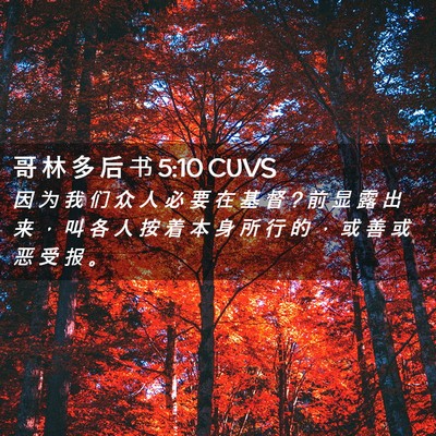 Picture 02 - 哥 林 多 后 书 5:10 CUVS - 因 为 我 们 众 人 必 要 在 基 督 ? 前 - Bible Verse Picture