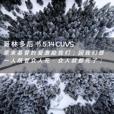 Picture 02 - 哥 林 多 后 书 5:14 CUVS - 原 来 基 督 的 爱 激 励 我 们 ； 因 - Bible Verse Picture