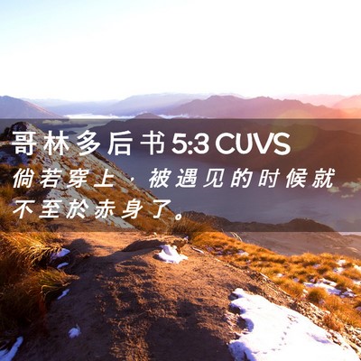 Picture 02 - 哥 林 多 后 书 5:3 CUVS - 倘 若 穿 上 ， 被 遇 见 的 时 候 就 - Bible Verse Picture