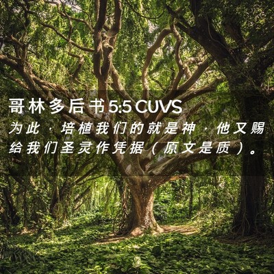 Picture 02 - 哥 林 多 后 书 5:5 CUVS - 为 此 ， 培 植 我 们 的 就 是 神 ， - Bible Verse Picture
