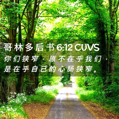 Picture 02 - 哥 林 多 后 书 6:12 CUVS - 你 们 狭 窄 ， 原 不 在 乎 我 们 ， - Bible Verse Picture