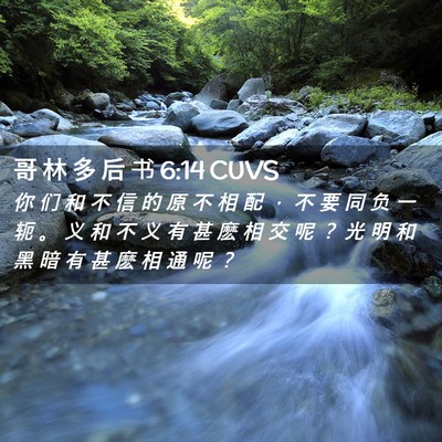 Picture 02 - 哥 林 多 后 书 6:14 CUVS - 你 们 和 不 信 的 原 不 相 配 ， 不 - Bible Verse Picture