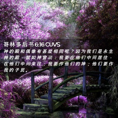 Picture 02 - 哥 林 多 后 书 6:16 CUVS - 神 的 殿 和 偶 像 有 甚 麽 相 同 呢 - Bible Verse Picture