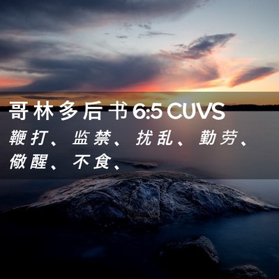 Picture 02 - 哥 林 多 后 书 6:5 CUVS - 鞭 打 、 监 禁 、 扰 乱 、 勤 劳 、 - Bible Verse Picture