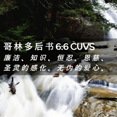 Picture 02 - 哥 林 多 后 书 6:6 CUVS - 廉 洁 、 知 识 、 恒 忍 、 恩 慈 、 - Bible Verse Picture