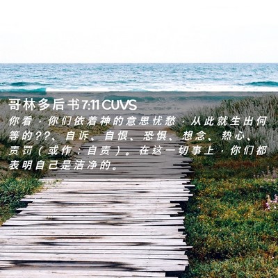 Picture 02 - 哥 林 多 后 书 7:11 CUVS - 你 看 ， 你 们 依 着 神 的 意 思 忧 - Bible Verse Picture