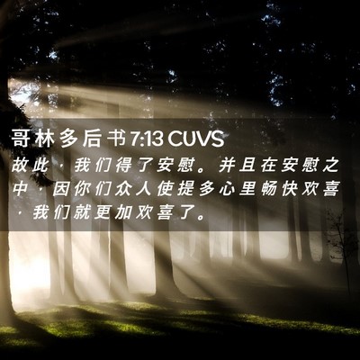 Picture 02 - 哥 林 多 后 书 7:13 CUVS - 故 此 ， 我 们 得 了 安 慰 。 并 且 - Bible Verse Picture