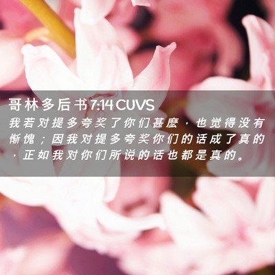 Picture 02 - 哥 林 多 后 书 7:14 CUVS - 我 若 对 提 多 夸 奖 了 你 们 甚 麽 - Bible Verse Picture