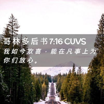 Picture 02 - 哥 林 多 后 书 7:16 CUVS - 我 如 今 欢 喜 ， 能 在 凡 事 上 为 - Bible Verse Picture