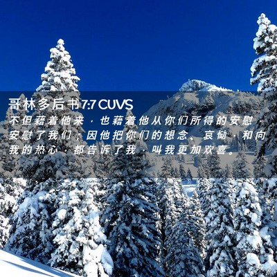 Picture 02 - 哥 林 多 后 书 7:7 CUVS - 不 但 藉 着 他 来 ， 也 藉 着 他 从 - Bible Verse Picture