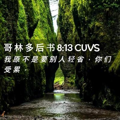 Picture 02 - 哥 林 多 后 书 8:13 CUVS - 我 原 不 是 要 别 人 轻 省 ， 你 们 - Bible Verse Picture