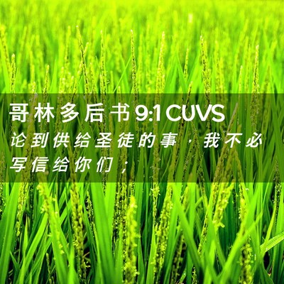 Picture 02 - 哥 林 多 后 书 9:1 CUVS - 论 到 供 给 圣 徒 的 事 ， 我 不 必 - Bible Verse Picture