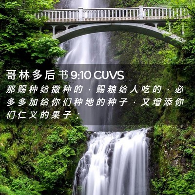 Picture 02 - 哥 林 多 后 书 9:10 CUVS - 那 赐 种 给 撒 种 的 ， 赐 粮 给 人 - Bible Verse Picture